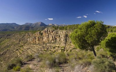 Ruta de EMSA: La Muela de Alahama