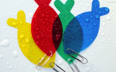 Bases del Primer Concurso de Pesca en Seco / Santo Ángel 2016