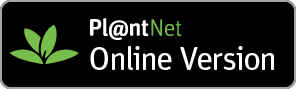 Pl@ntNet online web para identificar plantas y flores
