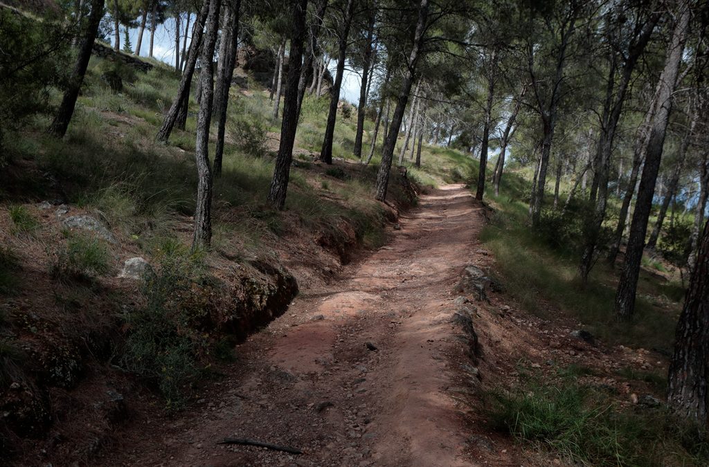 Paseos por el Valle: ruta el acueducto del Cerrillar