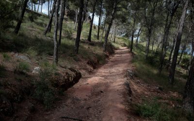 Paseos por el Valle: ruta el acueducto del Cerrillar