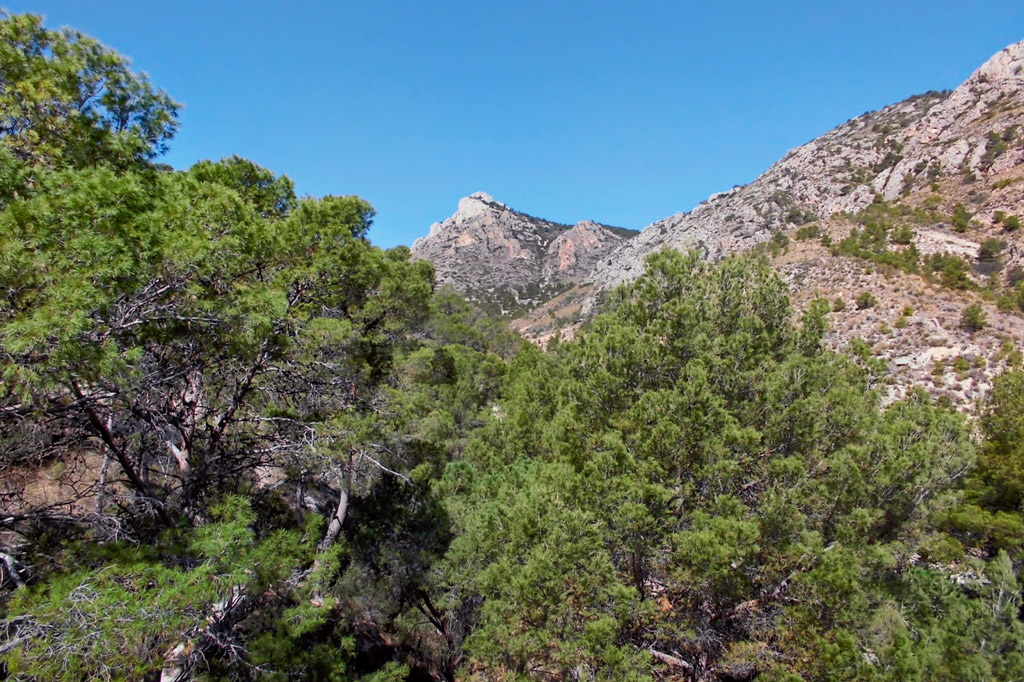 Sierra de Crevillente en Alicante