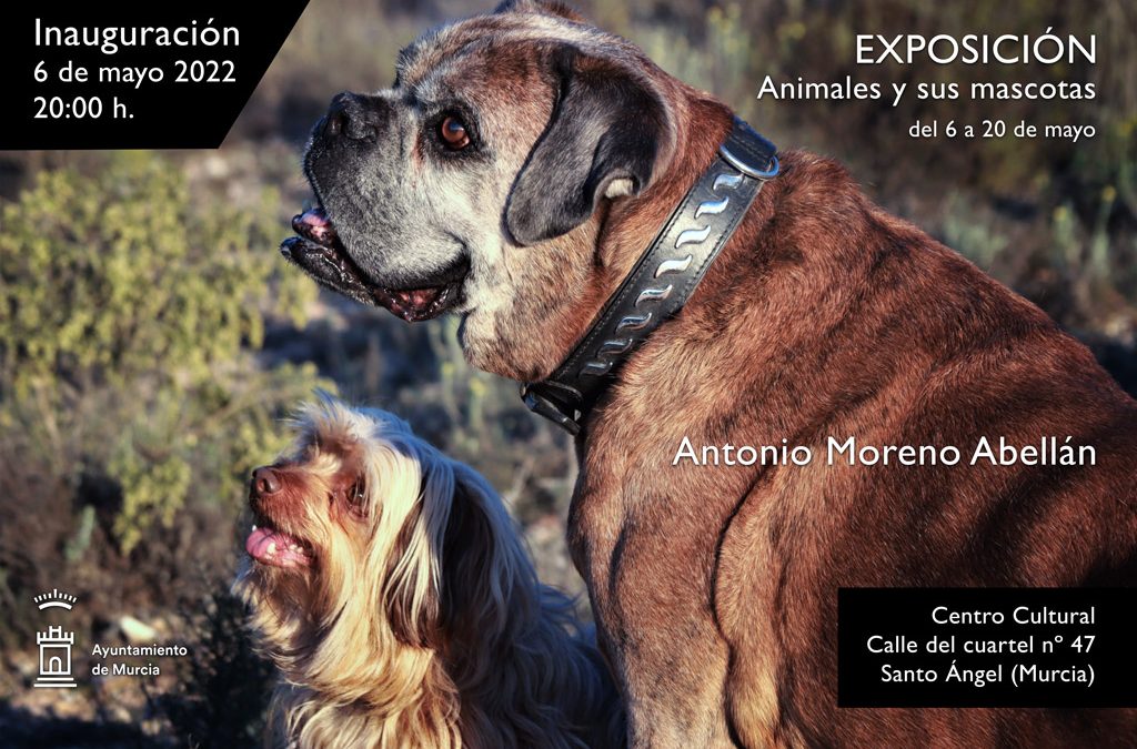 Exposición «Animales y sus mascotas» de Antonio Moreno Abellán