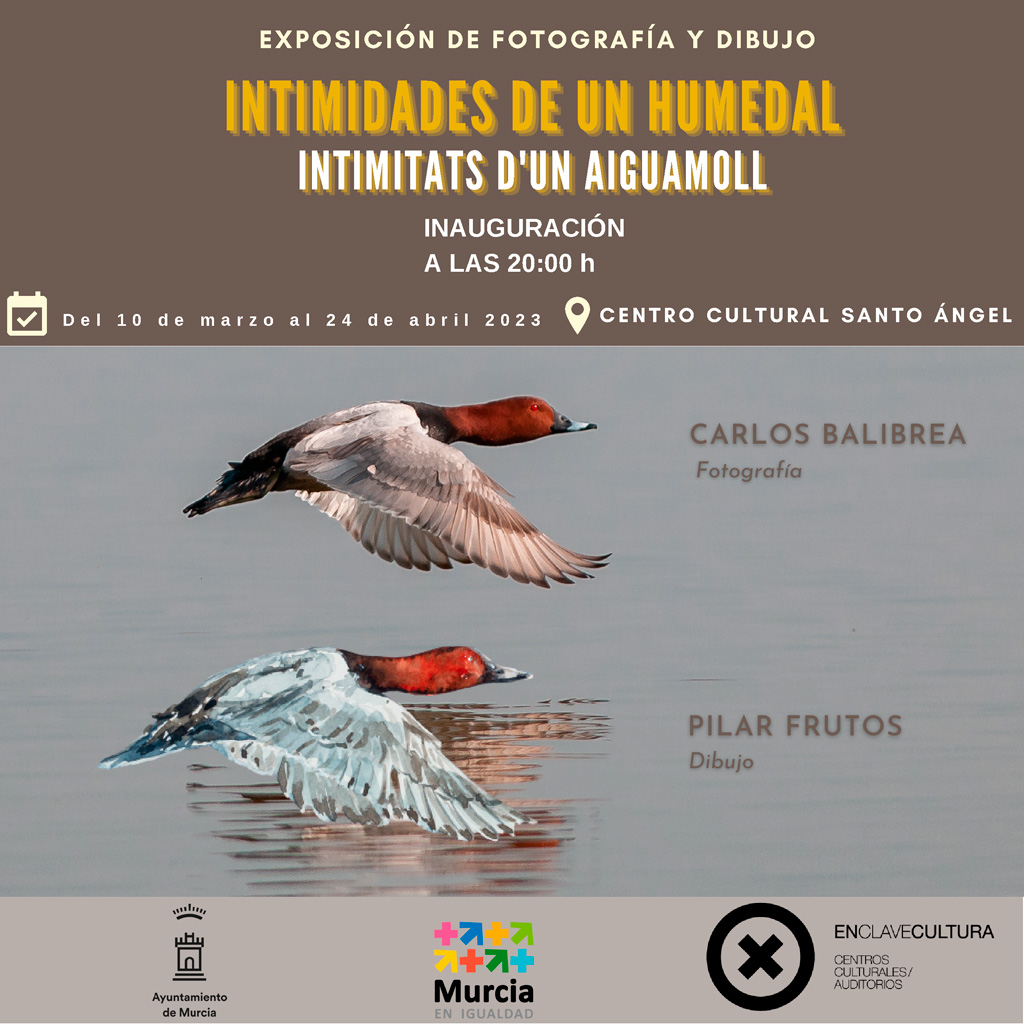 Cartel Exposición fotográfica El Hondo "Intimidades-de-un-humedal" de Carlos Balibrea y Pilar Frutos