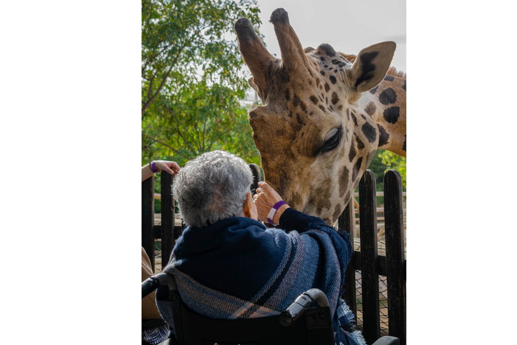 Caser Residencial - Excusión al zoo de Benidorm