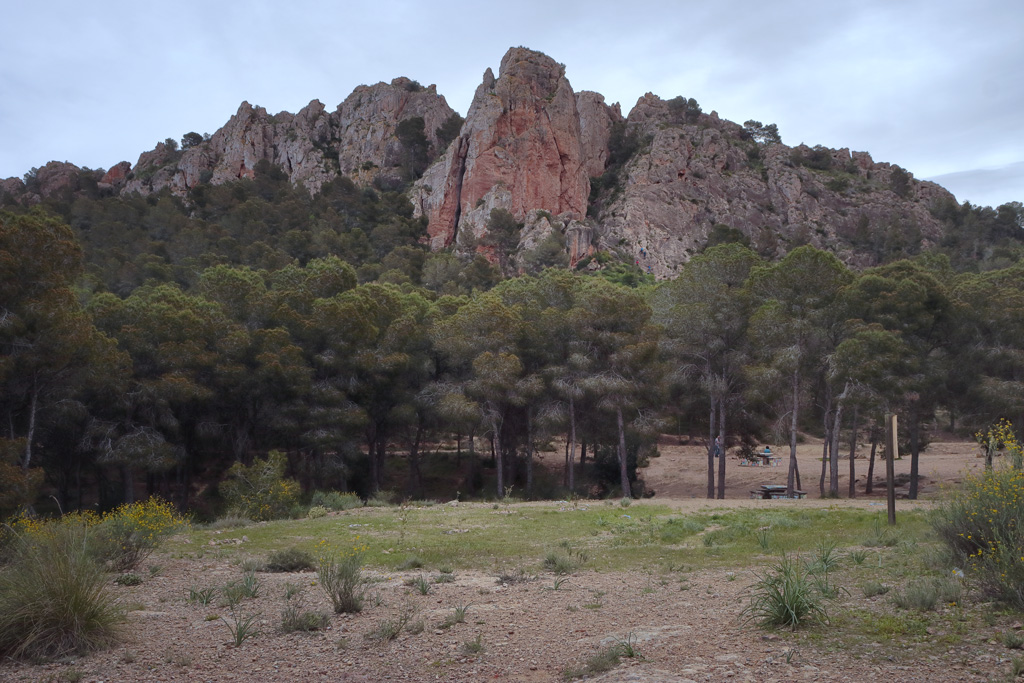 La Panocha en la parque El Valle en Murcia