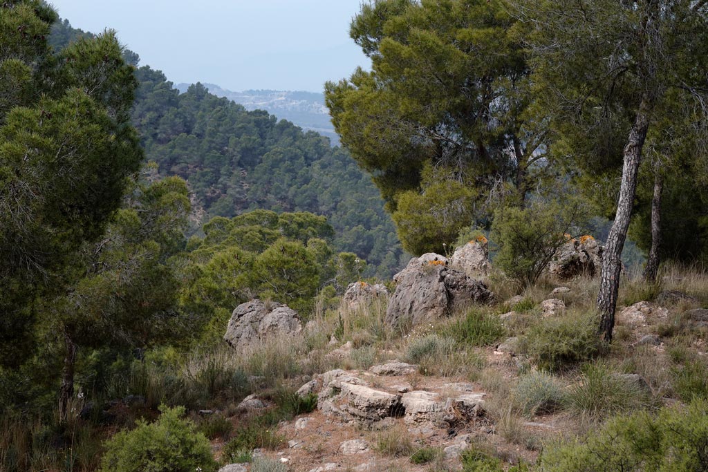 Paisaje en el parque natural El Valle