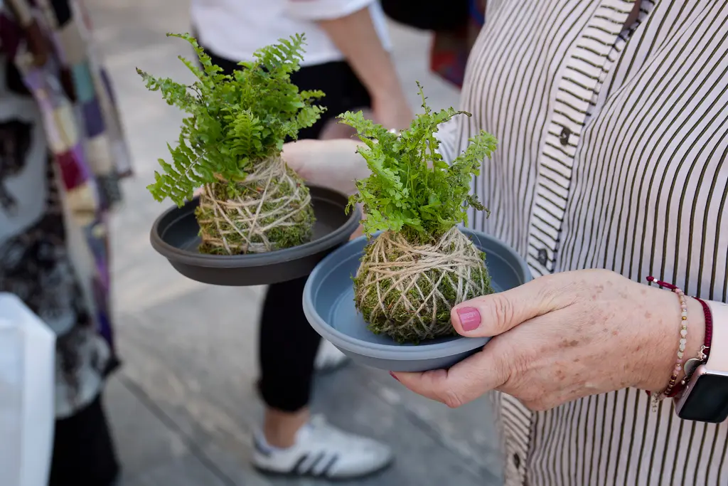 La kokedama terminado