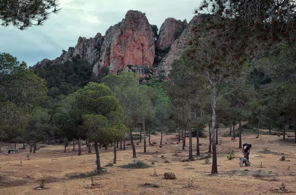 La Cresta del Gallo