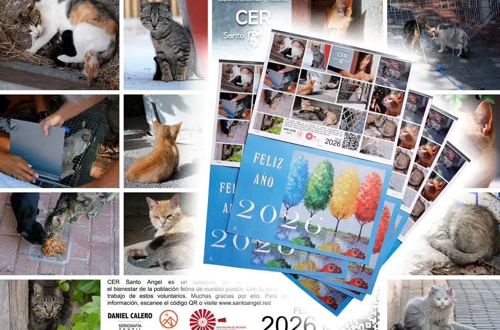 ¡Dona y recibe el Almanaque Solidario 2026!