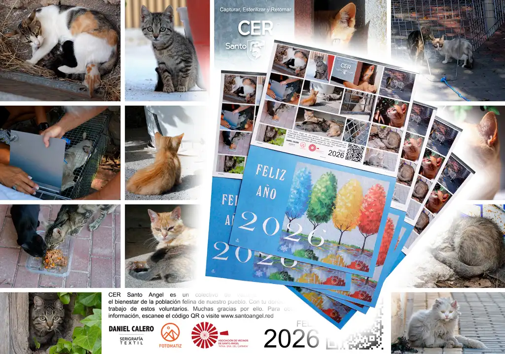 Almanaque 2026 de Santo Ángel