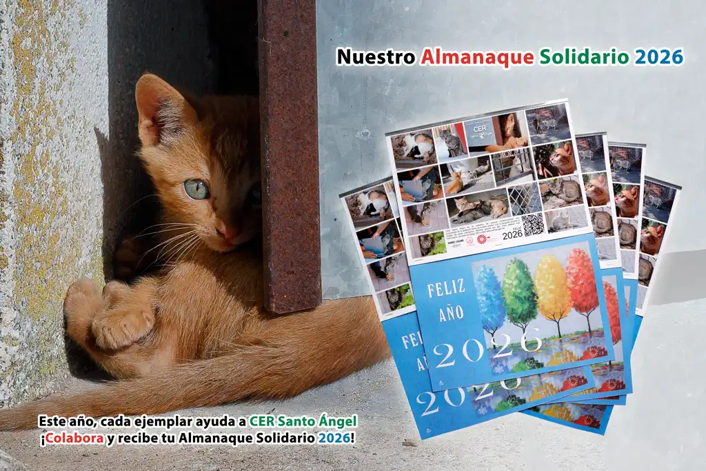 Almanaque solidario 2026