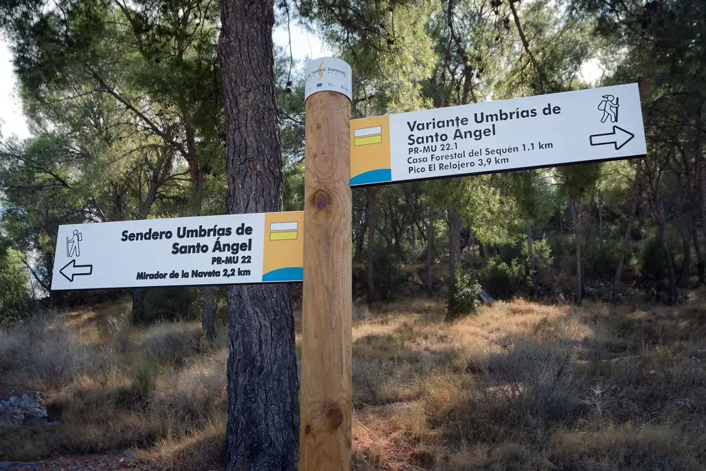 Ruta al Pico de Relojero en el Valle