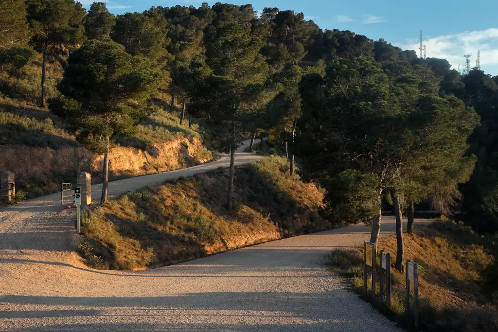 Subido al Relojero en el Valle