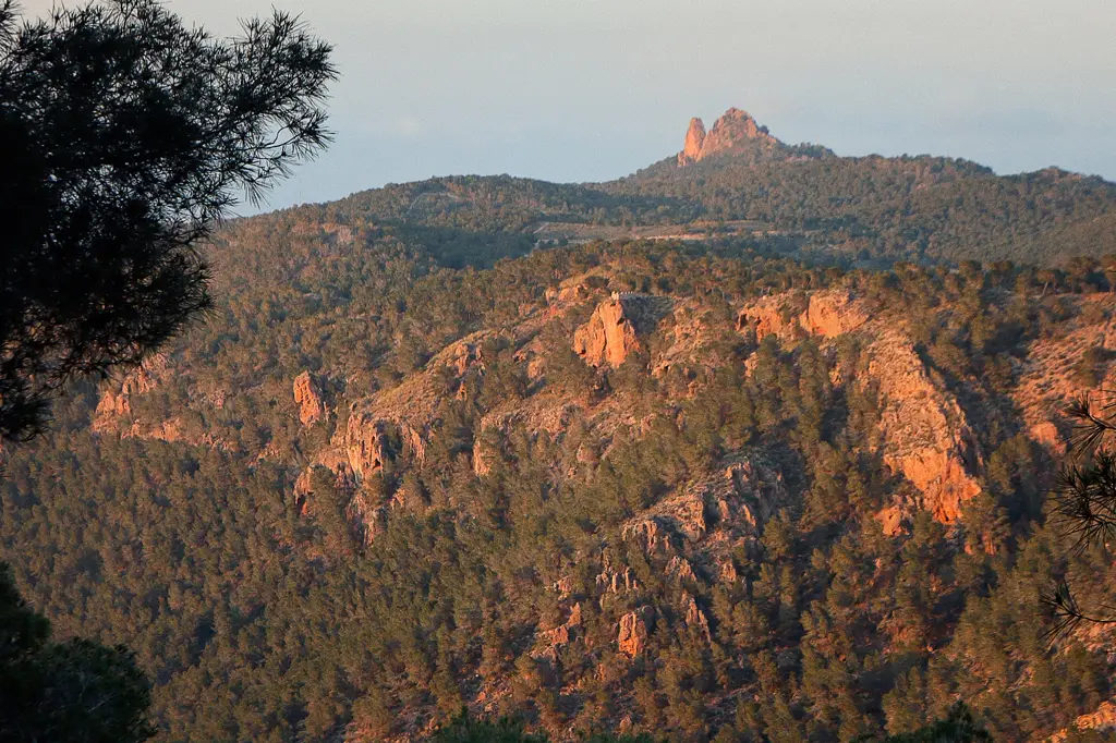 Vista a la Cresta del Gallo