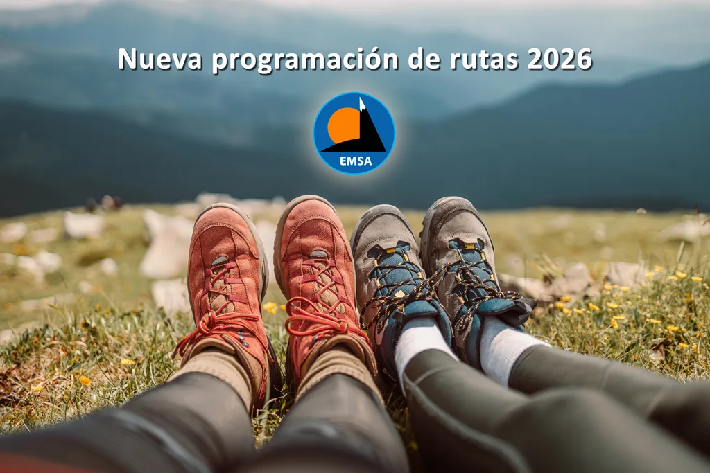 Programación de rutas 2026 - EMSA