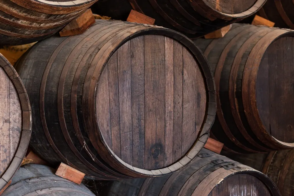 Viaje al Museo del Vino en Bullas