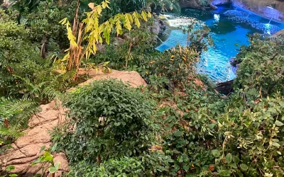 Exposición «Érase una vez un planeta de ensueño»