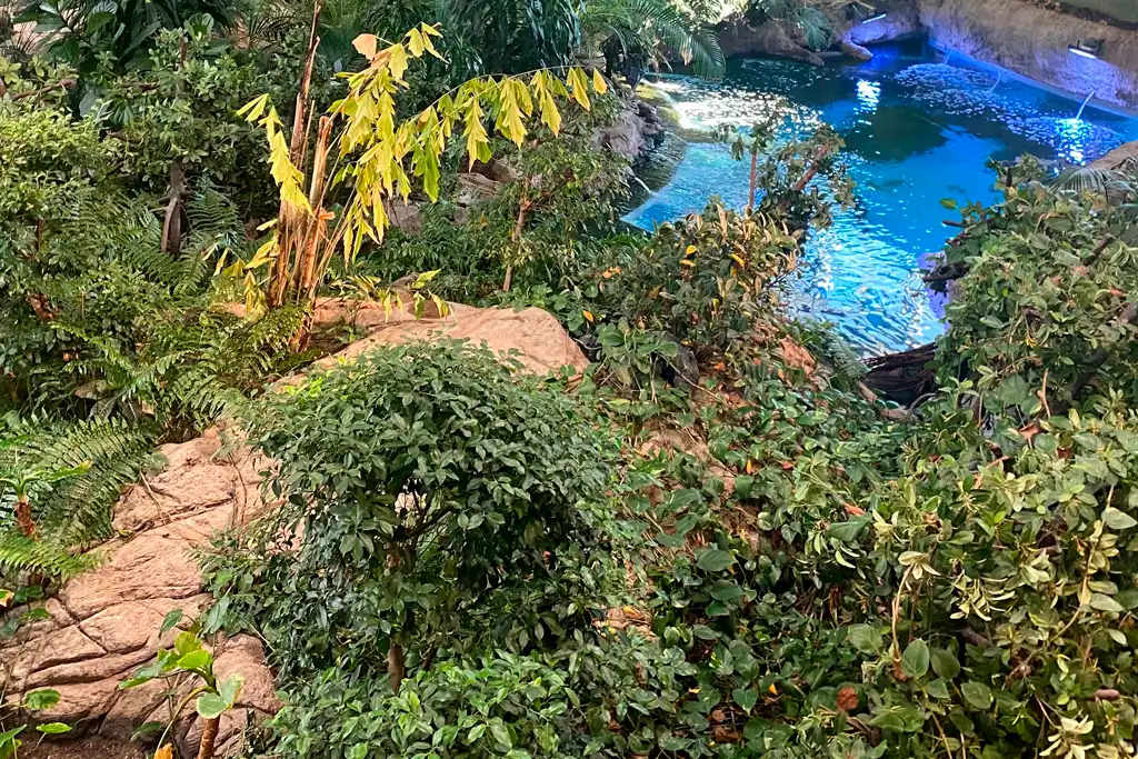 Exposición "Érase una vez un planeta de ensueño" de Julia Soria