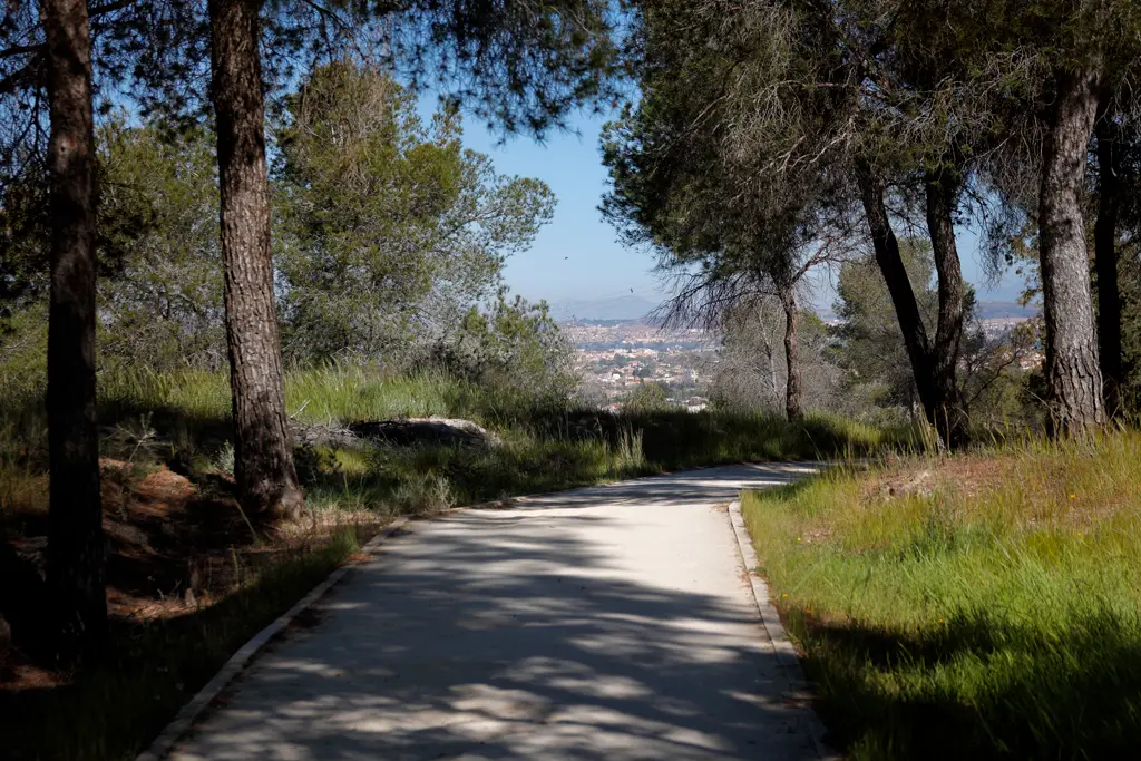 De vuelta, vemos Murcia abajo, en el valle De vuelta, vemos Murcia abajo, en el valle