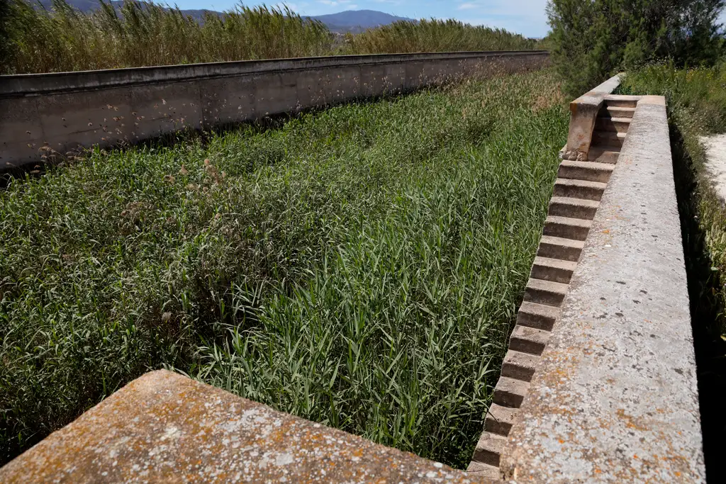 Una de las escaleras para cruzar el Reguerón Una de las escaleras para cruzar el Reguerón