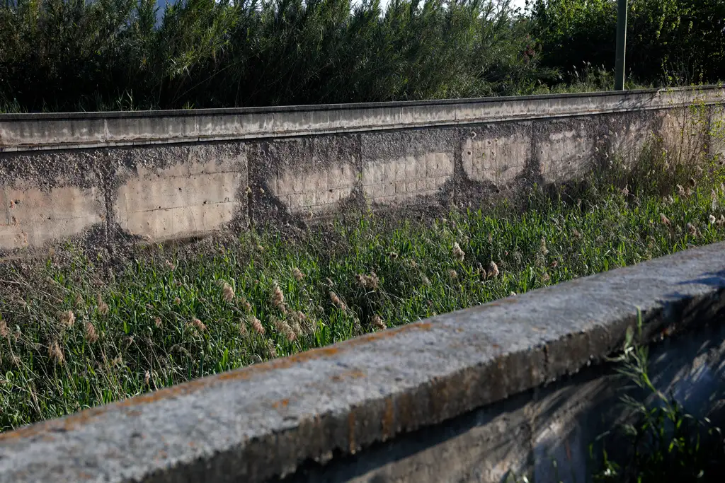 Detalle de muro de Reguerón en Murcia Detalle de muro de Reguerón en Murcia