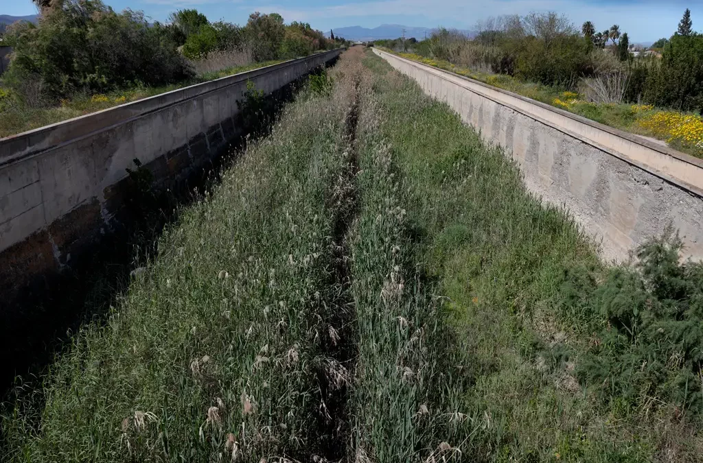 La historia de El Reguerón
