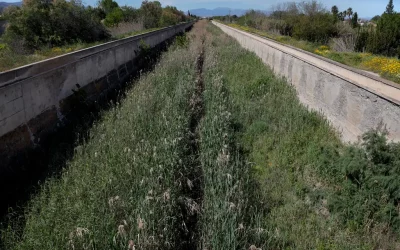 La historia de El Reguerón