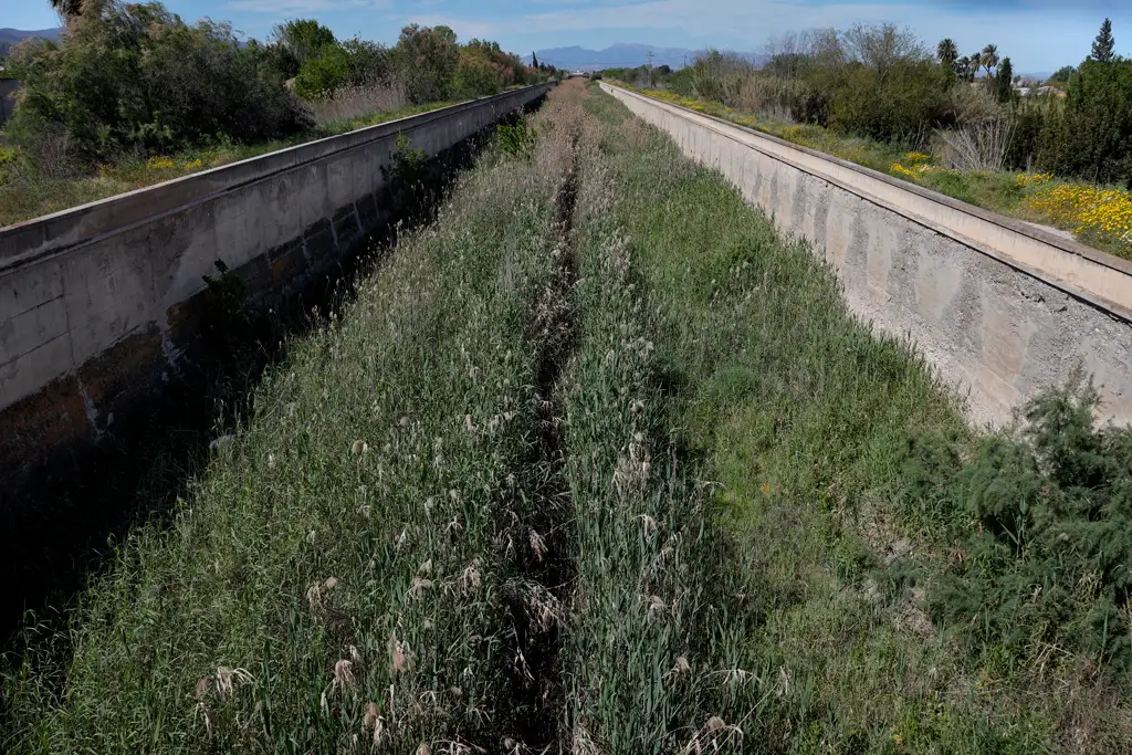 El tramo de el Reguerón que pasa por Santo Ángel (Murcia) El tramo de el Reguerón que pasa por Santo Ángel (Murcia)
