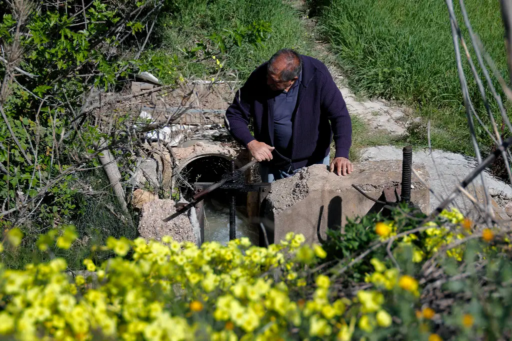 Un huertano abre la compuerta para dar paso al riego en su huerta