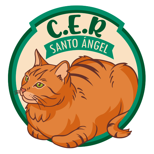 Logo CER Santo Ángel