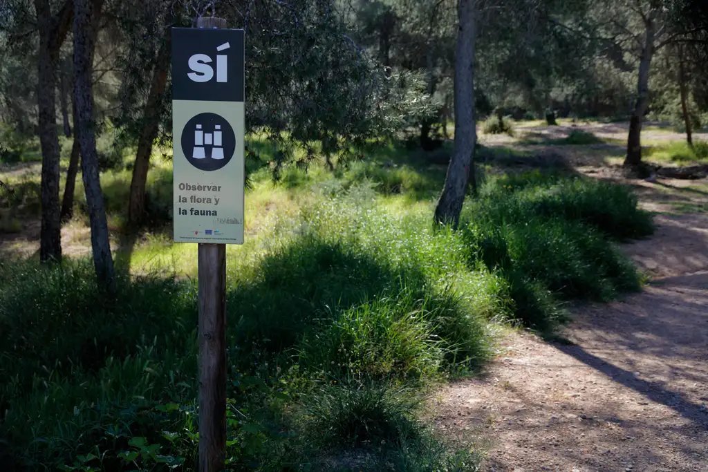 Siempre debes respetar las normas del parque Siempre debes respetar las normas del parque