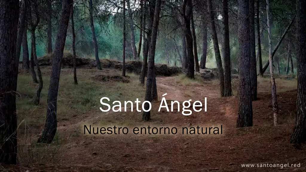Santo Ángel, nuestro entorno natural