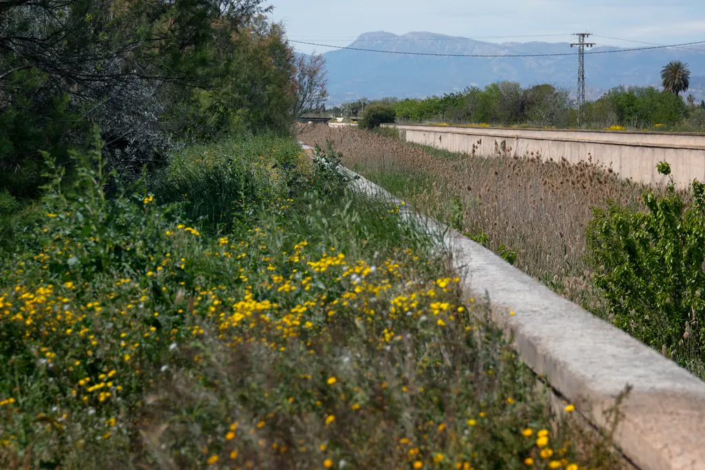 En varios puntos, la vegetación nos impedía seguir adelante