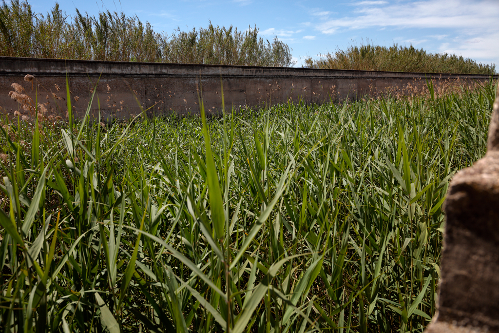 Vista desde el fondo del Reguerón Vista desde el fondo del Reguerón