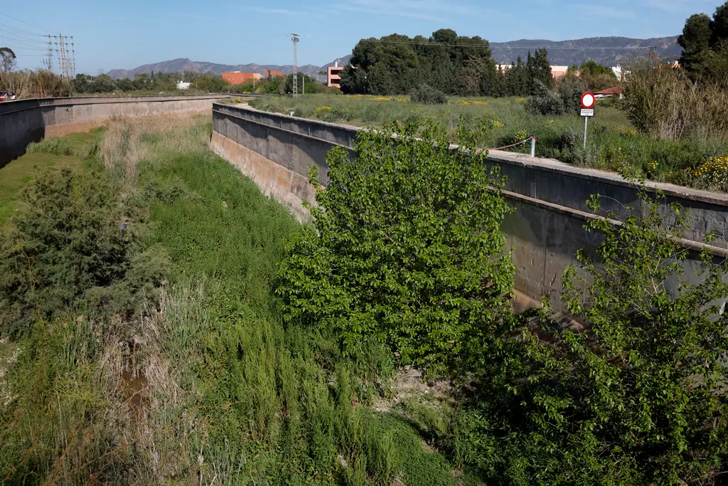 Biodiversidad en la huerta de Murcia - El Reguerón