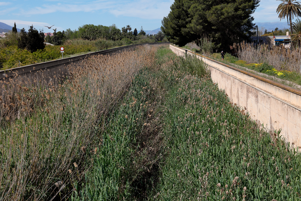 Biodiversidad, insectos, huerta de Murcia y el Reguerón