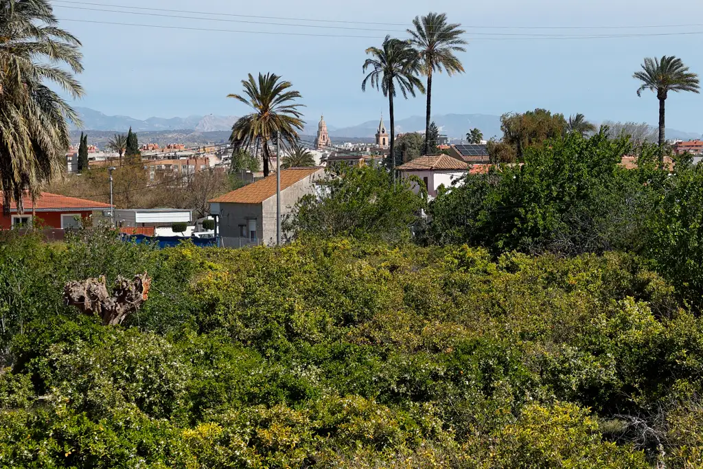 Paisaje desde el Reguerón en Murcia en la primavera del 2026