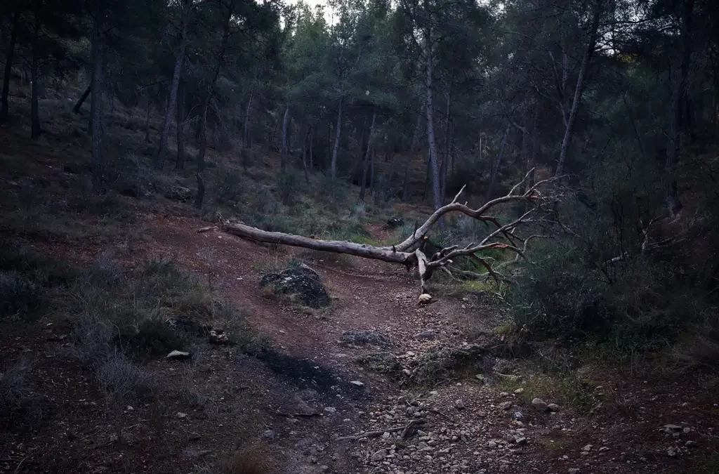 El Valle y Carrascoy al límite