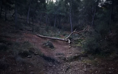 El Valle y Carrascoy al límite