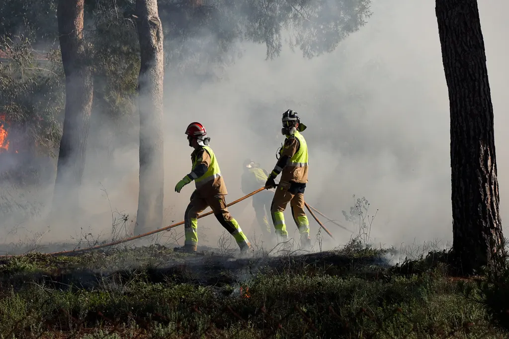 Los bomberos extinguen un incendio en Monteliso Los bomberos extinguen un incendio en Monteliso