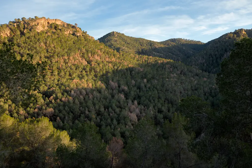 El cambio climático en el parque El Valle y Carrascoy El cambio climático en el parque El Valle y Carrascoy