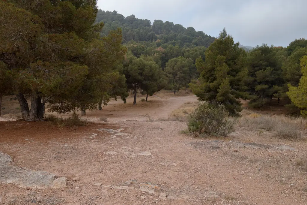 Erosión del suelo y la desertificación (abril 2023)