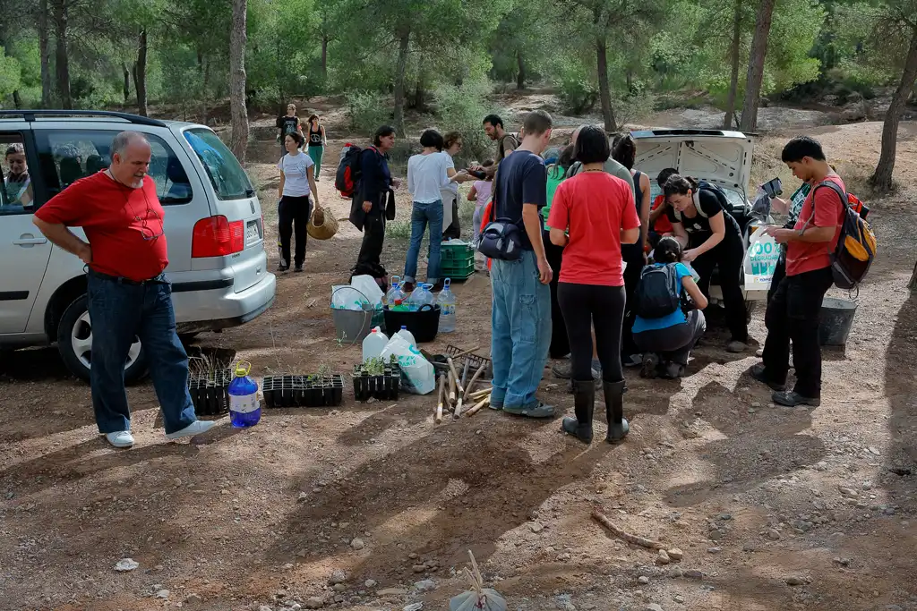 Restauración ecológica en el monte de Murcia