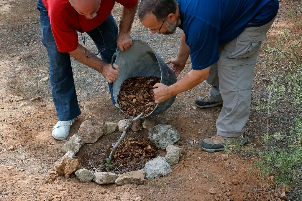 Voluntarios que plantan árboles y arbustos en el Valle