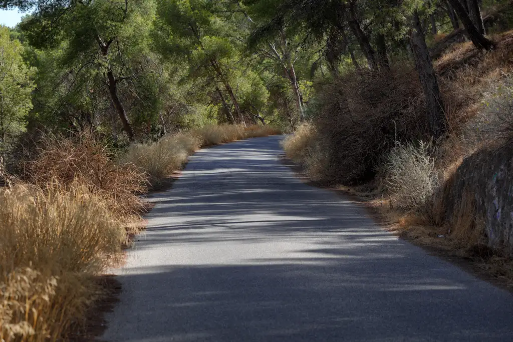 La carretera con El Oroval a la izquierda y La Esparraguera a la derecha. La carretera con El Oroval a la izquierda y La Esparraguera a la derecha.