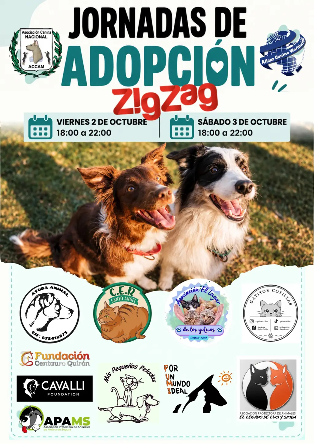 Cartel: Jornadas de adaptación en el centro de ocio ZigZag