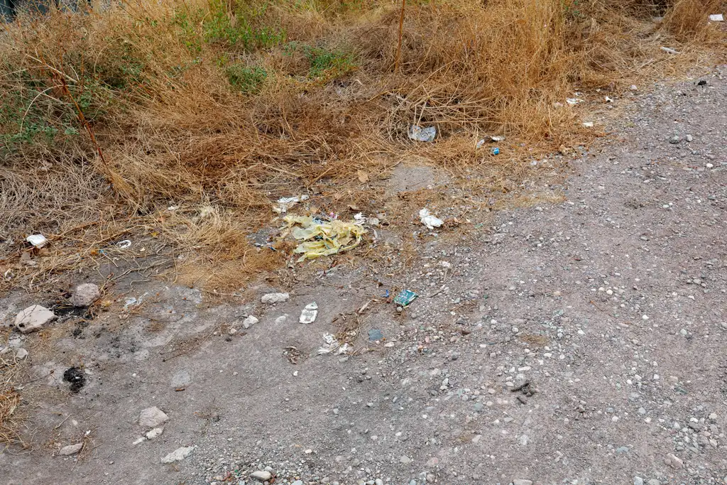 Falta de limpieza en el solar de Monteliso en Murcia Falta de limpieza en el solar de Monteliso en Murcia