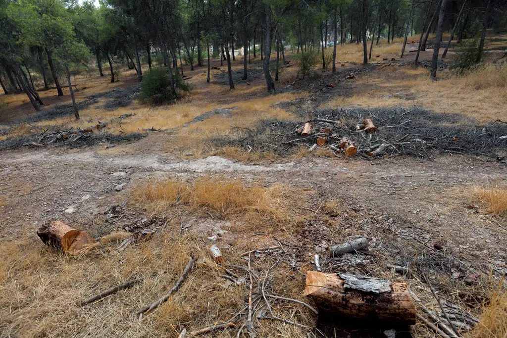 Parcela publica en el Valle en Murcia Parcela publica en el Valle en Murcia