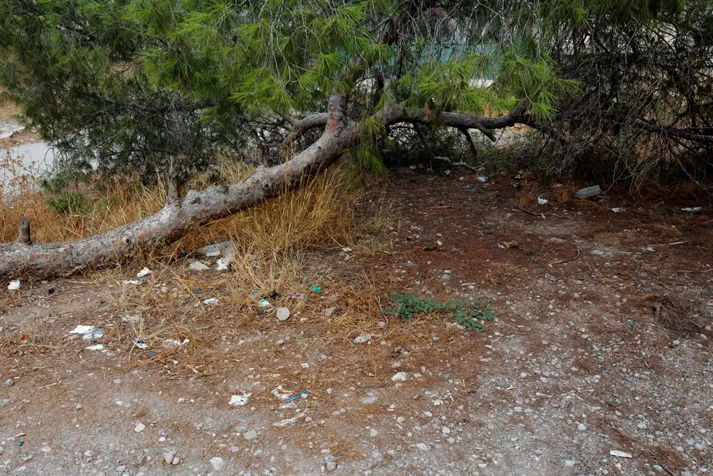 Solar abandonado lleno de maleza y basura en Monteliso en Murcia Solar abandonado lleno de maleza y basura en Monteliso en Murcia